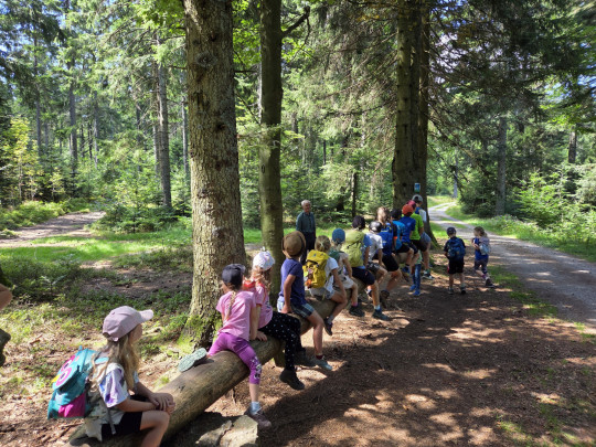 walderlebnistag2025.jpg